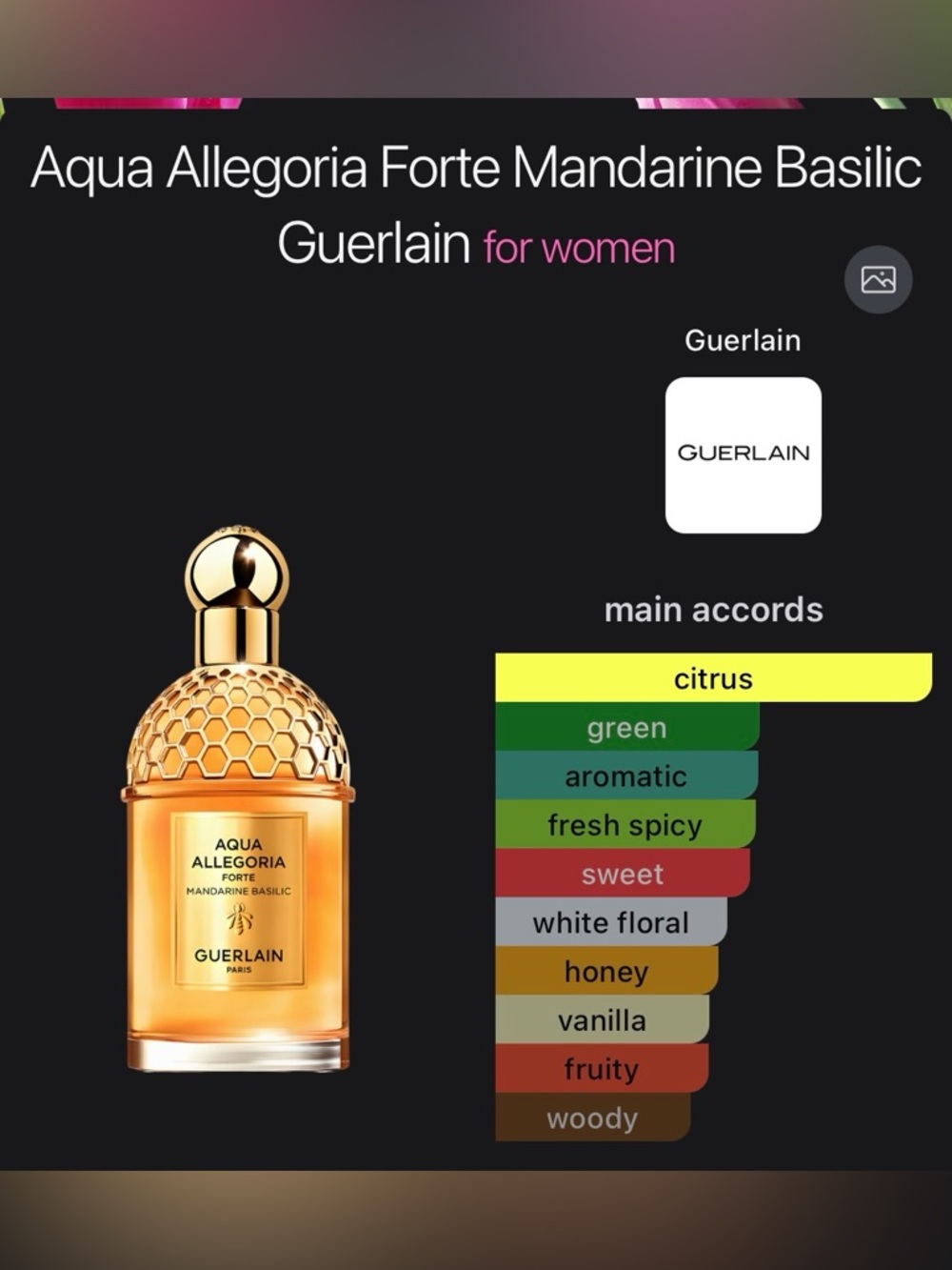 NWT Aqua Allegoria Forte Mandarine Basilic